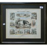 Graphic Illustrations of Animals, The Pigs, print,