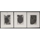 MARY SEYMOUR, Anish Kapoor's Marsya's, Tate Modern 2003 I, print, signed in pencil to margin,