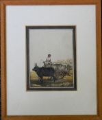 An Indian miniature of an Oxen and Cart, framed and glazed. 15 x 19 cm.