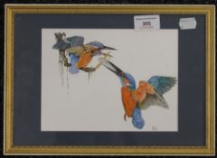 Kingfishers, watercolour, monogrammed and dated, framed and glazed. 20 x 15 cm.