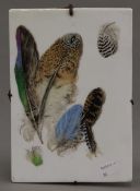 A Victorian porcelain panel painted with feathers. 16 x 23 cm.