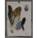 A Victorian porcelain panel painted with feathers. 16 x 23 cm.