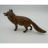 A cold painted bronze model of a fox. 19 cm long.