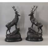 A pair of bronze stags on plinth bases. Each 72 cm high.