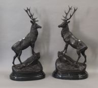 A pair of bronze stags on plinth bases. Each 72 cm high.