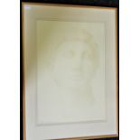 Michelangelo's David, print, numbered 4/200, indistinctly signed and dated '89, framed and glazed.