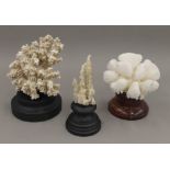 Three coral specimens, on display stands. The largest 15 cm high.