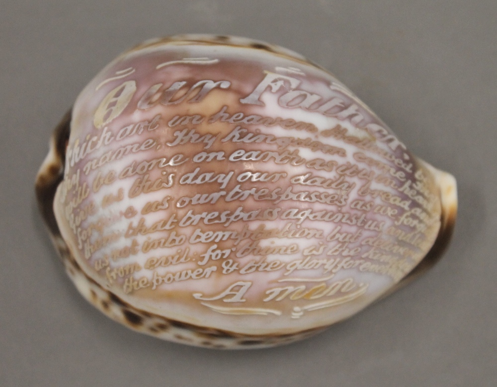 A carved conch shell inscribed with the Lord's Prayer. 9 cm long. - Image 2 of 3