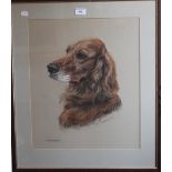 MARY BROWNING (20th/21st century) British, a pastel Dog Portrait, entitled ''Whisper'',