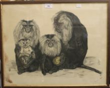 A print of Monkeys and a SIR PETER SCOTT, Ducks in Flight print. The former 54 x 42 cm.