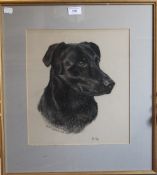 MARY BROWNING (20th/21st century) British, two pastel Dog Portraits,