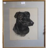 MARY BROWNING (20th/21st century) British, two pastel Dog Portraits,