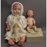 Two bisque headed dolls, one by Armand Marseille; together with a celluloid doll.