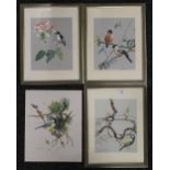WILLLIAM REES (Australian School), Birds, four watercolours, three framed.