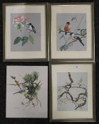 WILLLIAM REES (Australian School), Birds, four watercolours, three framed.