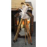 An early 20th century oak framed mirror and a quantity of walking sticks