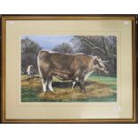 LINDA RAMSAY, Old English Breed Ox, watercolour, signed with initials and dated 87,