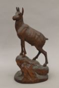 A Blackforest carved wooden model of a mountain goat. 31 cm high.