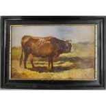 ANTON SCHRODL (1823-1906) Austrian, Cow, oil, monogrammed, framed. 27.5 x 17 cm.