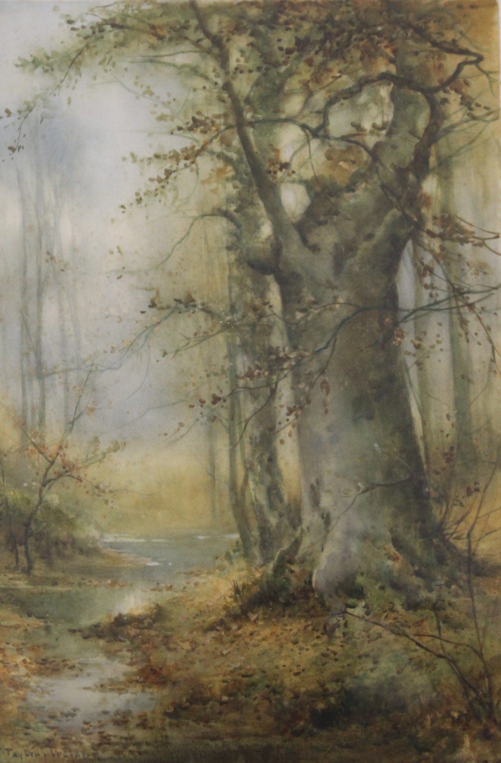 THOMAS TAYLOR-ISLAND (1894-1921) British, Woodland Stream, watercolour, framed and glazed. 35 x 52. - Image 2 of 3