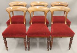A set of six Victorian mahogany dining chairs. Each 48.5 cm wide.