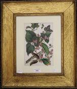 A 19th century Chinese watercolour on rice paper, Flowers and Butterflies, framed and glazed. 14.