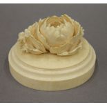 A 19th century Japanese ivory chrysanthemum, the underside with inset seal mark. 7 cm high.
