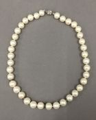 A pearl necklace with diamond set spacers. 43 cm long.