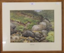 LAWRENCE BURD, Rocky Stream, Ilkley, watercolour, framed and glazed. 35 x 26 cm.