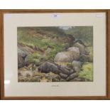 LAWRENCE BURD, Rocky Stream, Ilkley, watercolour, framed and glazed. 35 x 26 cm.