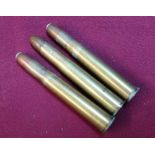 Three 500-450 Kynoch Nitro Express rifle rounds (section 1 certificate required)