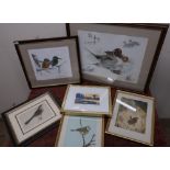 Set of twenty ornithological colour plates and four other bird colour plates