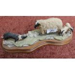 Border fine arts figure black faced ewe collie NO104