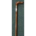 Early 20th C walking cane with carved wood dogs head handle, with inset glass eyes