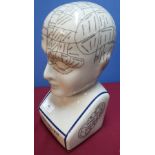 Reproduction Phrenology head (height 28cm)