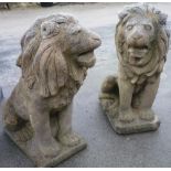 Pair of apposing concrete well weathered sitting lions