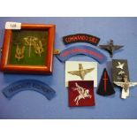 Framed and mounted display of British Special Forces badges, various parachute regiment badges,