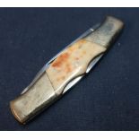 Twin bladed pocket knife with polished horn grips