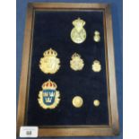 Framed and mounted display of Belgium gilt metal cap badges, buttons etc (23cm x 33cm)