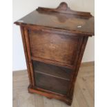 Victorian rosewood cabinet enclosed by single glazed and paneled cupboard door (54cm x 36cm x 100cm)