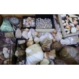 Box containing a large quantity of various assorted sea shells, gem stones, minerals etc including