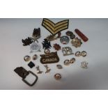 Selection of various assorted British, Russian and other military cap badges, including some