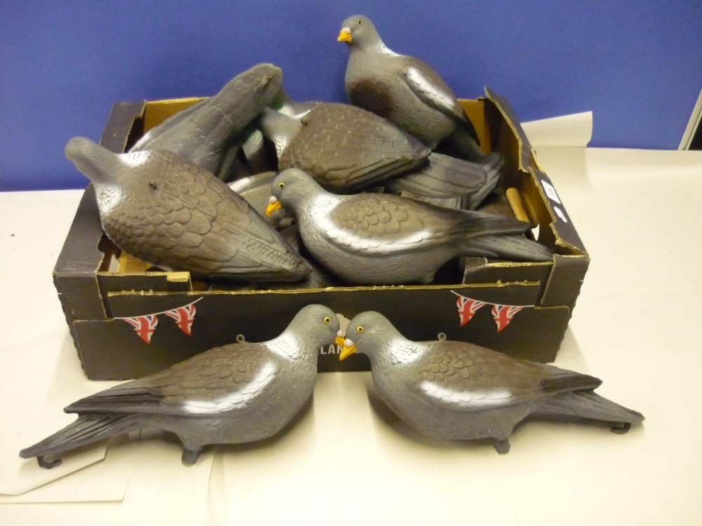 Box containing a large quantity of various full bodied and half bodied pigeon decoys