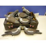 Box containing a large quantity of various full bodied and half bodied pigeon decoys