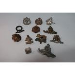 Selection of various assorted British military cap badges including naval, Royal Artillery, AAC, etc