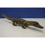 Edwardian taxidermy of a small crocodile (overall length 58cm)