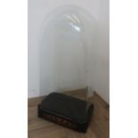 Extremely large rectangular form glass dome, on ebonised and inlaid base with ball feet (66cm x 20cm
