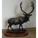 Bronzed metal model of a stag, on naturalistic base and wooden plinth (47cm x 50cm)