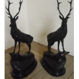 Pair of bronzed stags on rocky outcrop,on oval stepped marble bases (75cm)