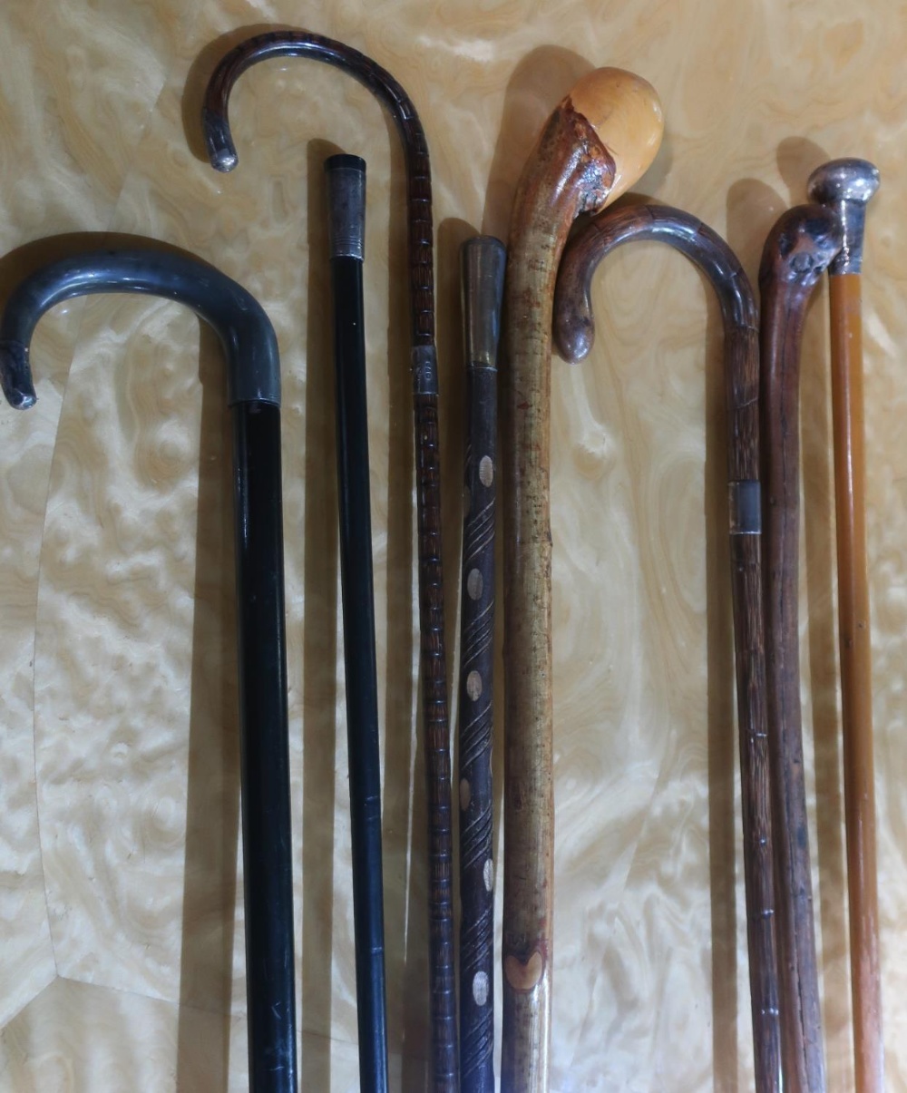 Four silver hallmarked mounted walking sticks and canes, another with horn handle, two rustic wooden - Image 2 of 2